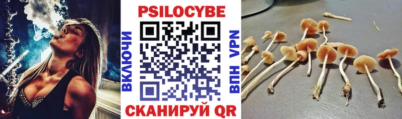 наркота  маркетплейс состав  Псилоцибиновые грибы MAGIC MUSHROOMS  Горячеводский 